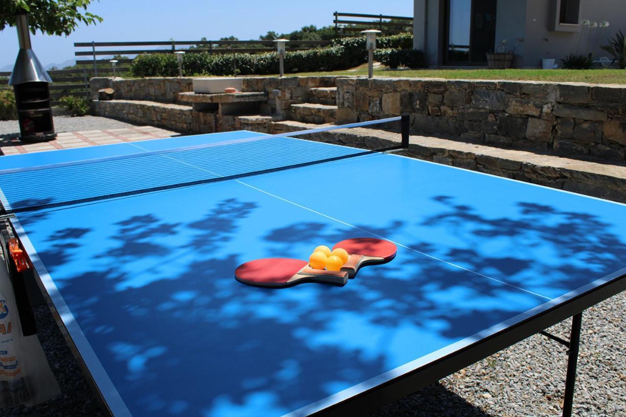 Arion Krini Villa Amnátos 外观 照片