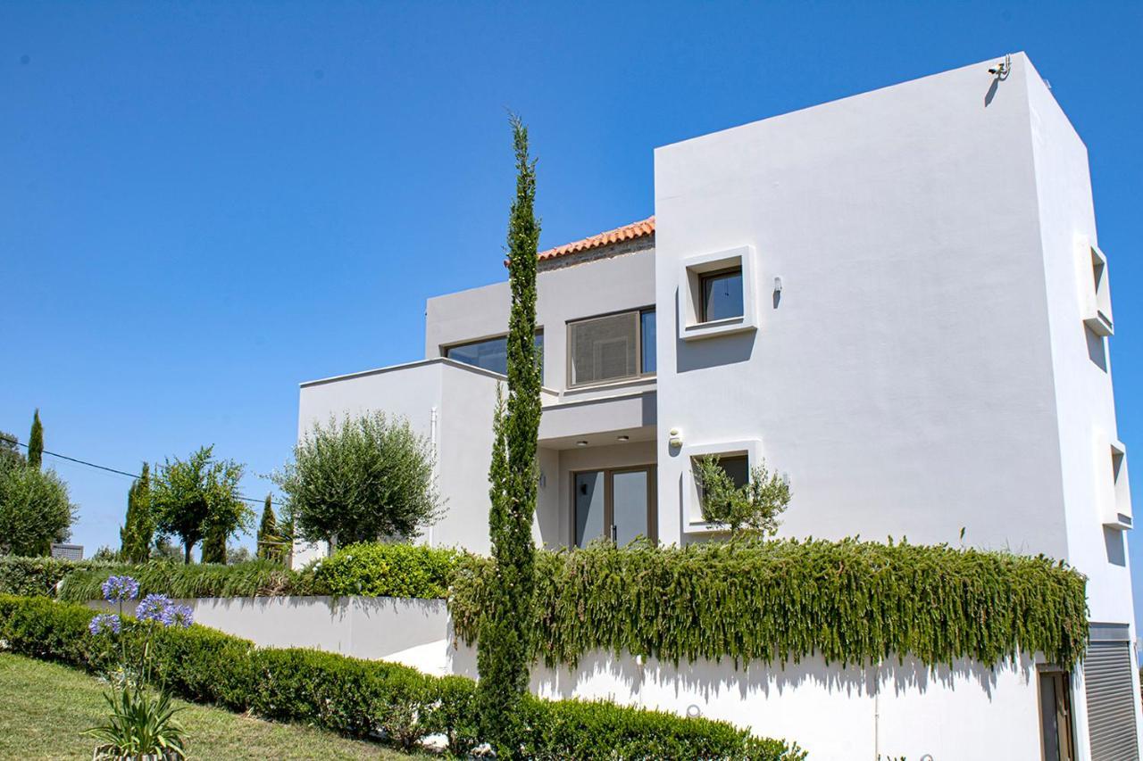 Arion Krini Villa Amnátos 外观 照片
