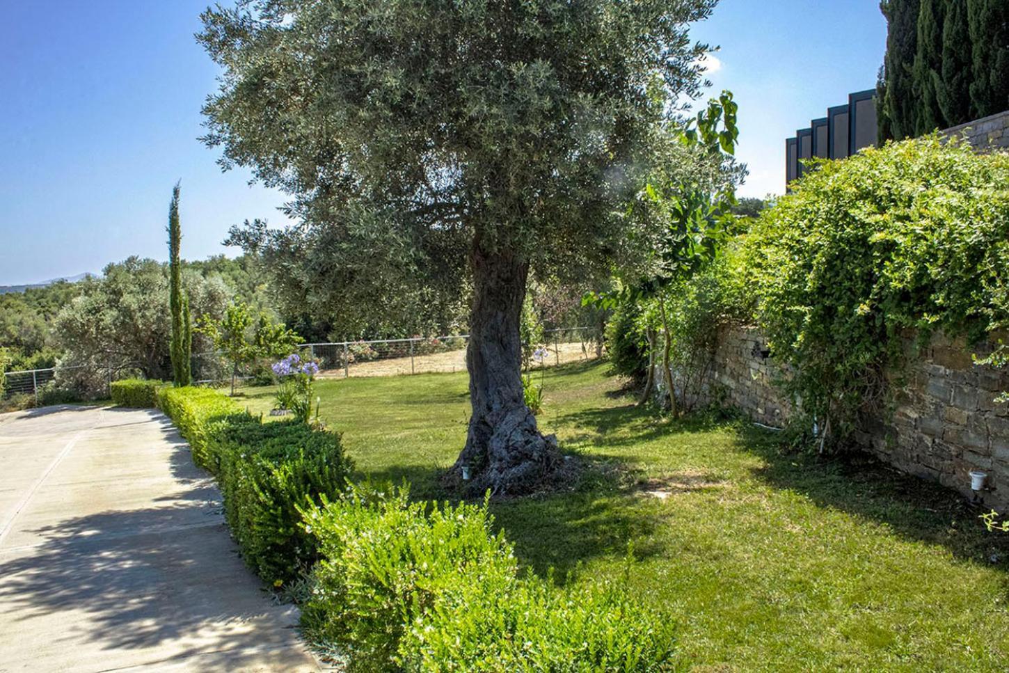 Arion Krini Villa Amnátos 外观 照片