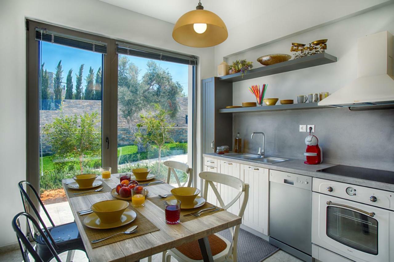 Arion Krini Villa Amnátos 外观 照片
