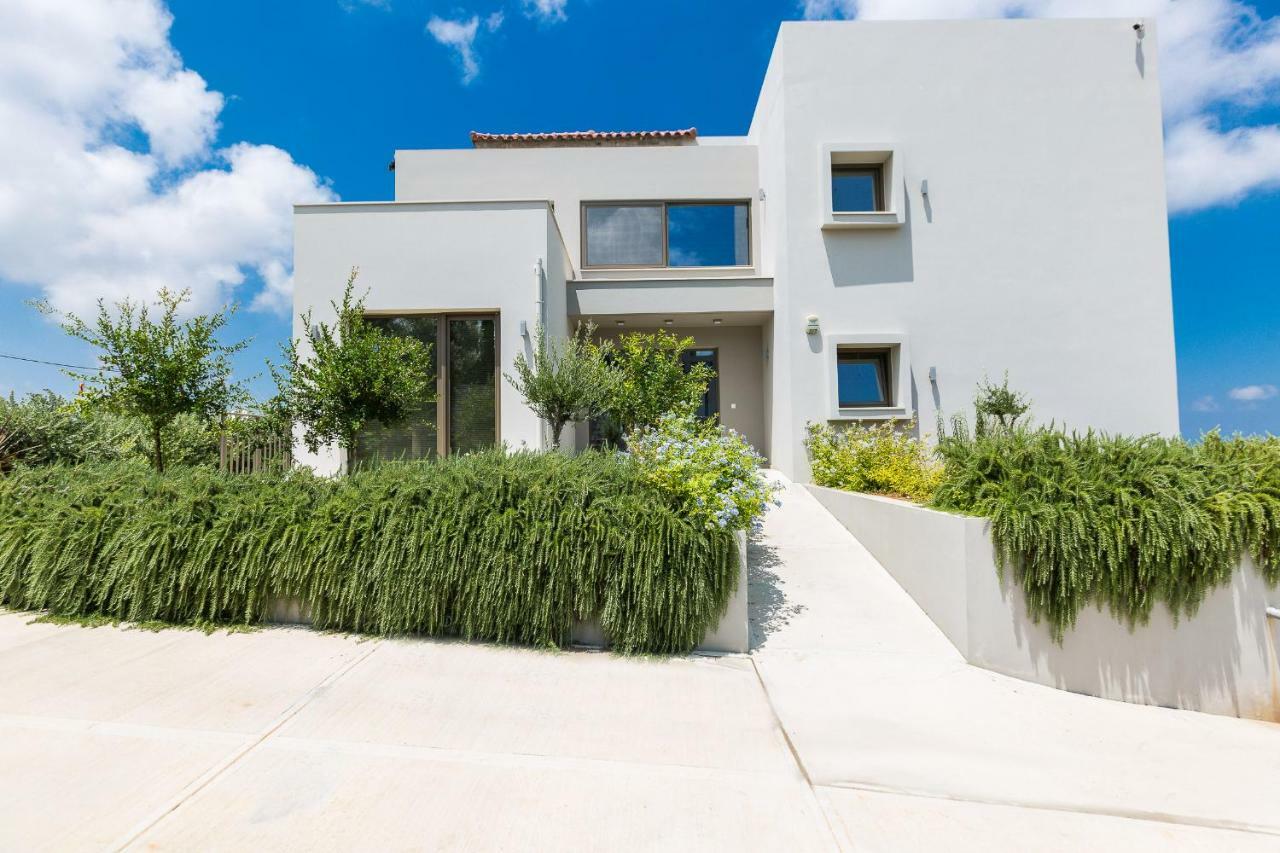 Arion Krini Villa Amnátos 外观 照片