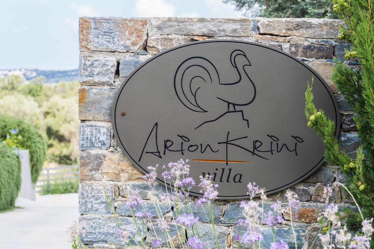 Arion Krini Villa Amnátos 外观 照片