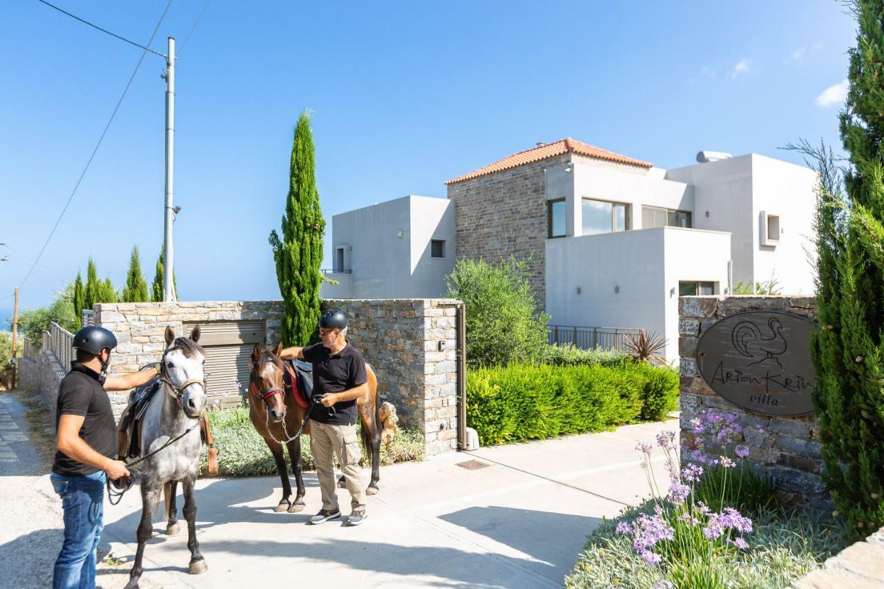 Arion Krini Villa Amnátos 外观 照片